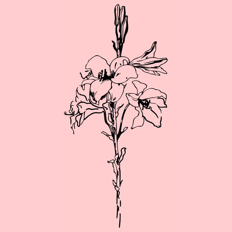 Fleur de lilly