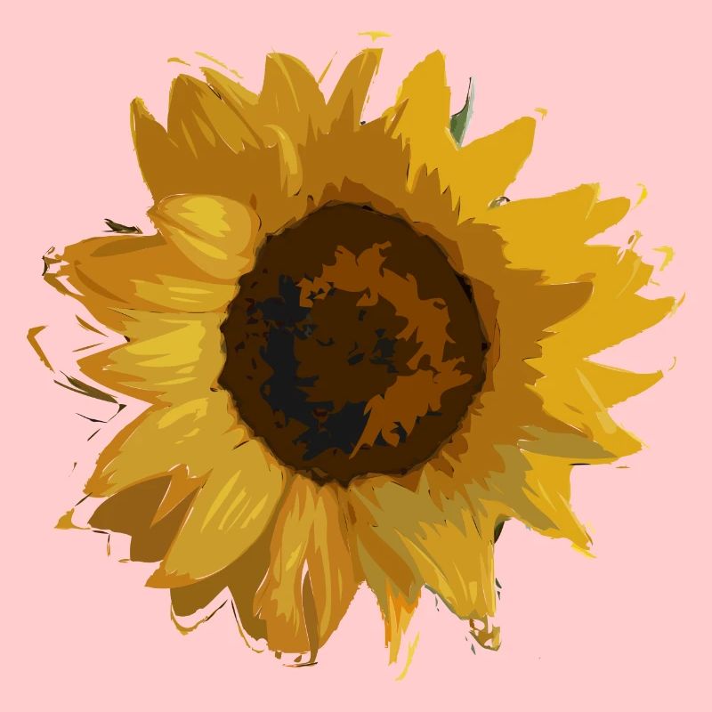 tournesol