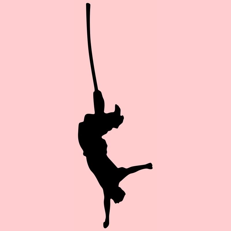 saut de bungee