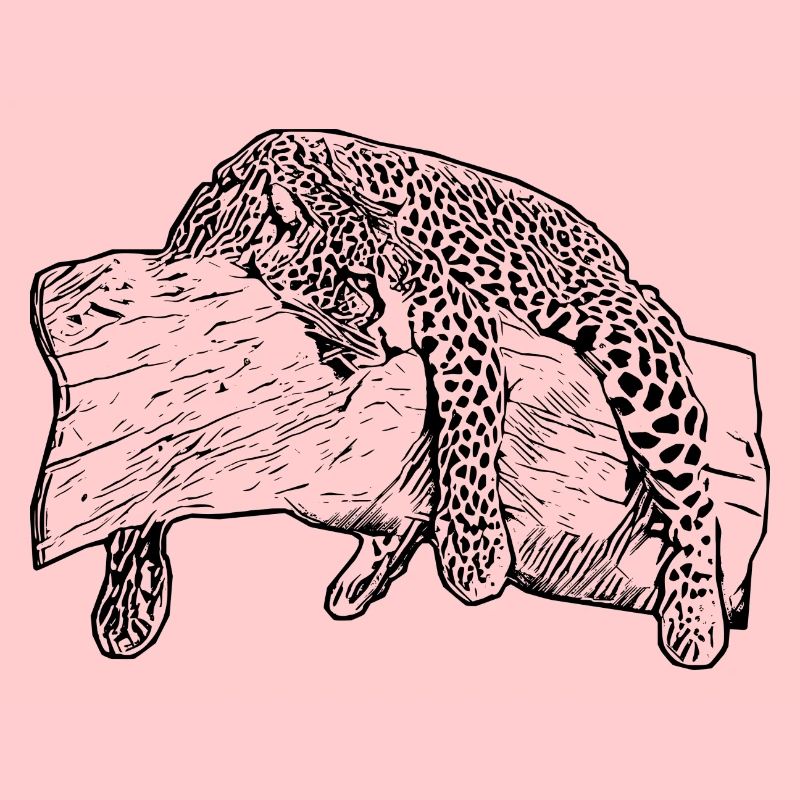 leopardo
