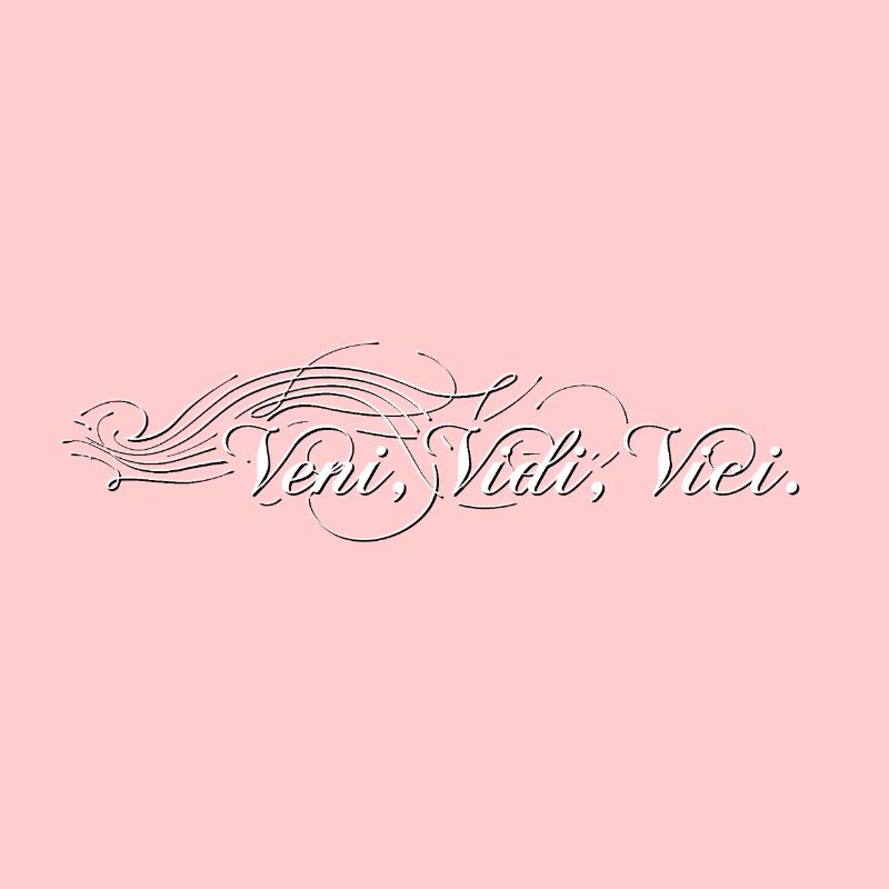 Veni vidi vici decorated - shaded