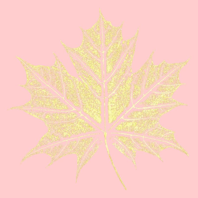 Maple Leaf / Botany - Natural