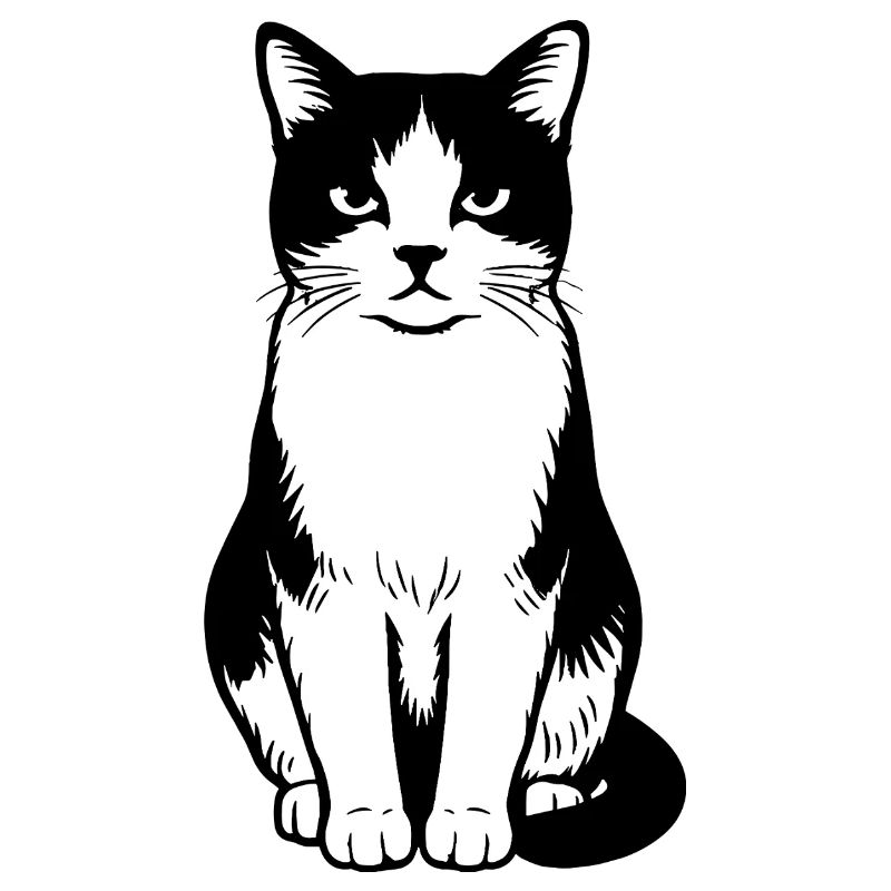 Chat
