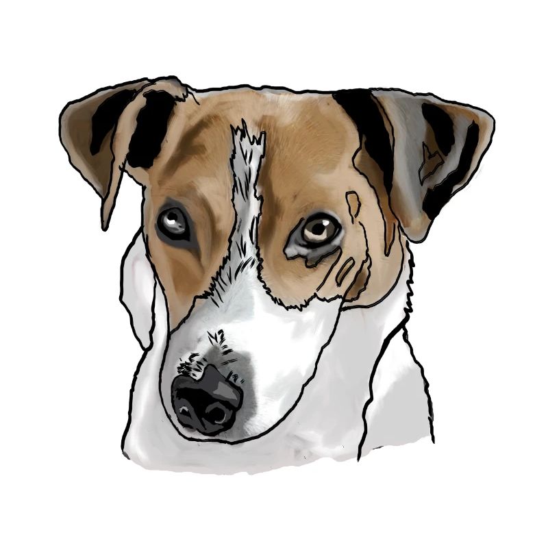 Jack Russel Terrier