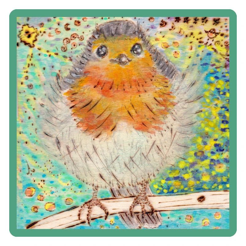 Rotkehlchen /Robin