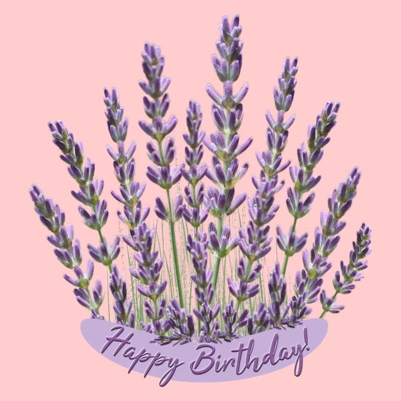 Anniversaire lavande Fleur violette