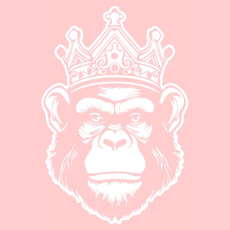 Singe Singe Visage de Singe Jungle