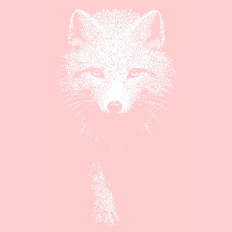 Arctic fox