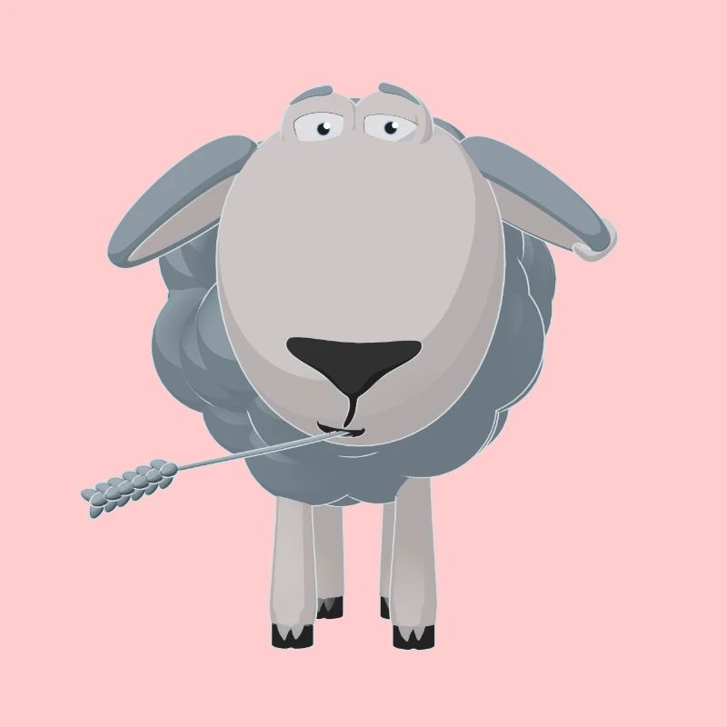 Noah The Sheep