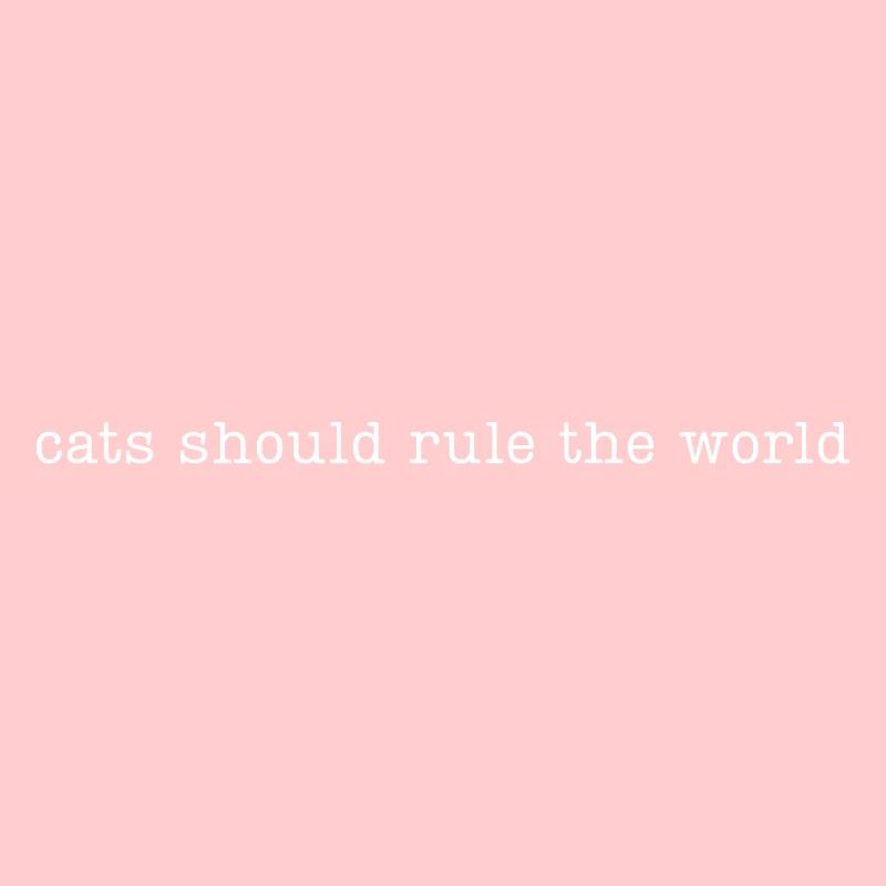 Les chats devraient dominer le monde