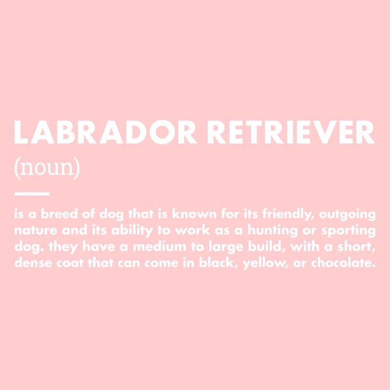 Labrador Retriever Definition
