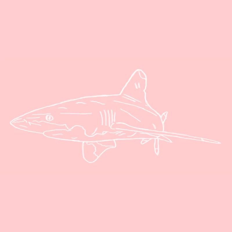 Requin