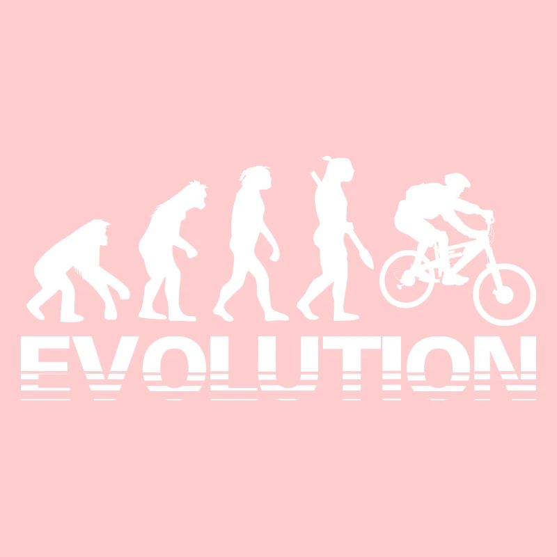 Evolution Downhill Mountainbike