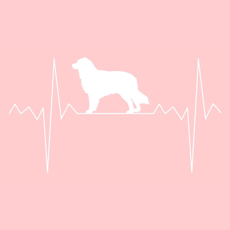 Rythme cardiaque Australian Shepherd
