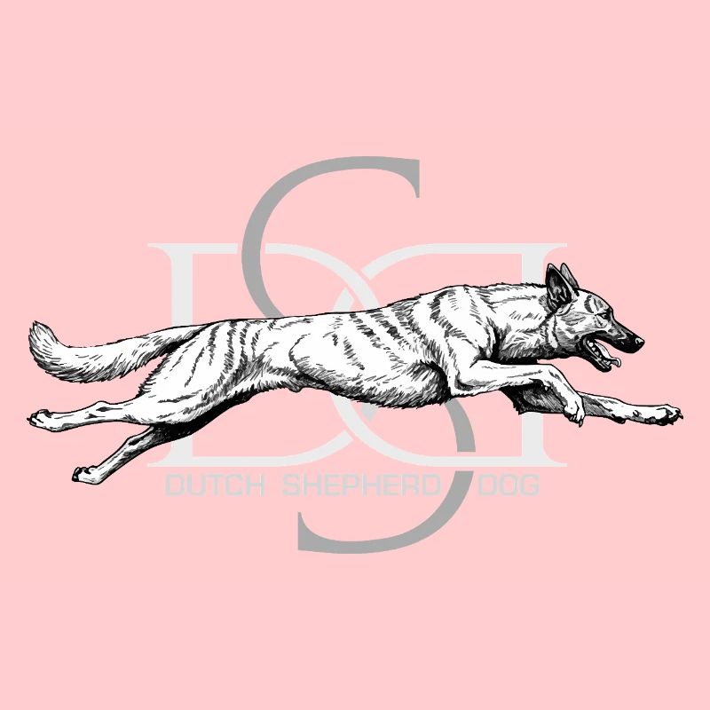 Dutchie - Dutch Shepherd Dog