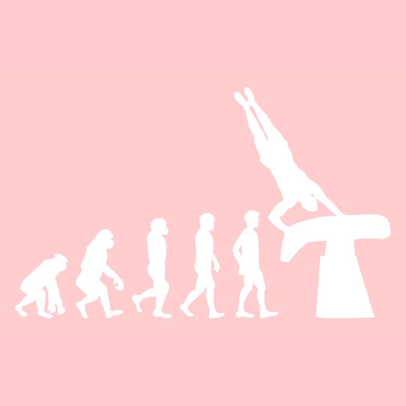 Artistic Gymnastics Vault Gymnast Evolution Funny