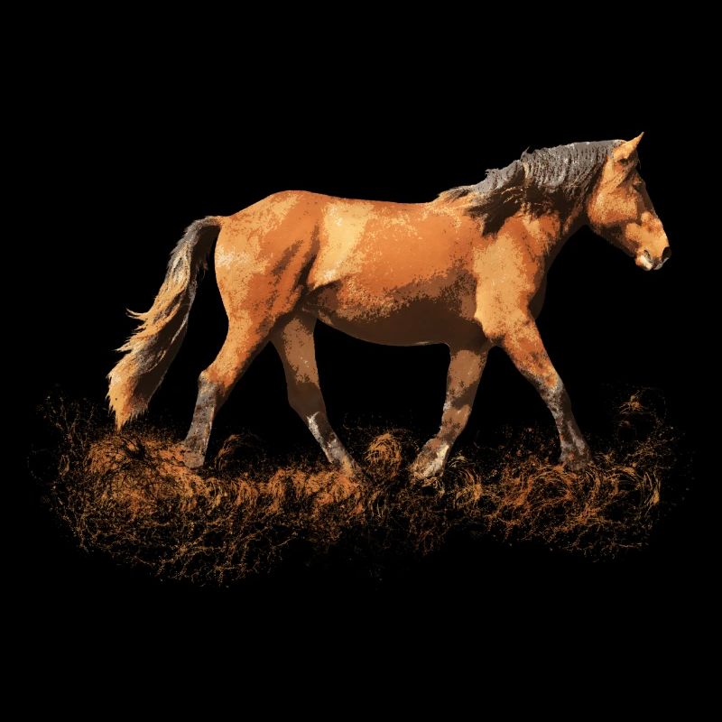 Reiten Pferd Pferde Pferdenarr Pferdenärrin Reiter