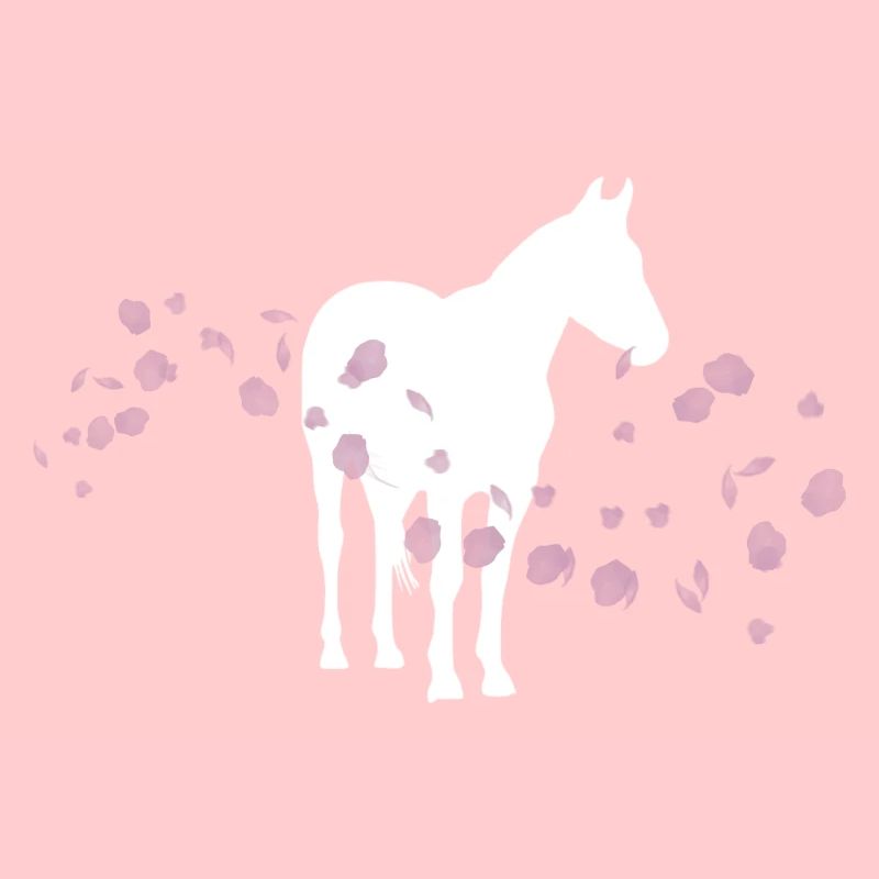 Cheval fleur de cerisier / équitation