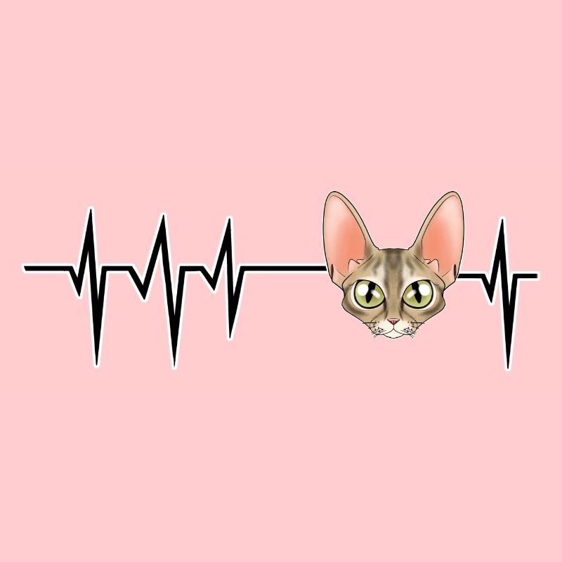 Chat Heartbeat I Devon Rex Chat