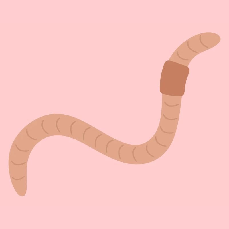 Earthworm