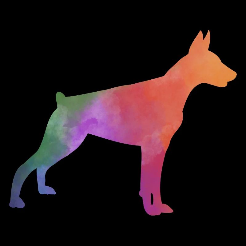 DOBERMAN coloré
