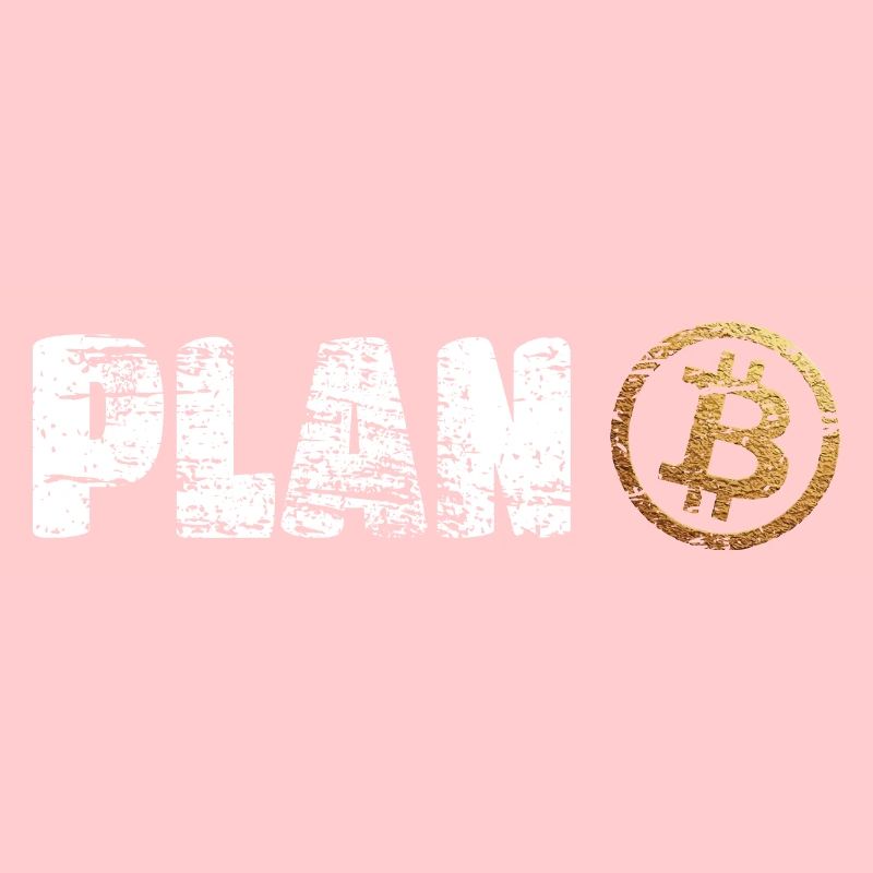 Plan B Bitcoin Krypto Crypto BTC