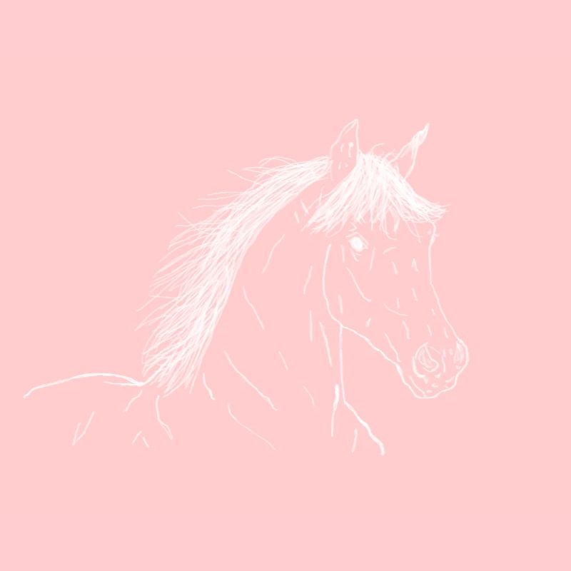 Cheval