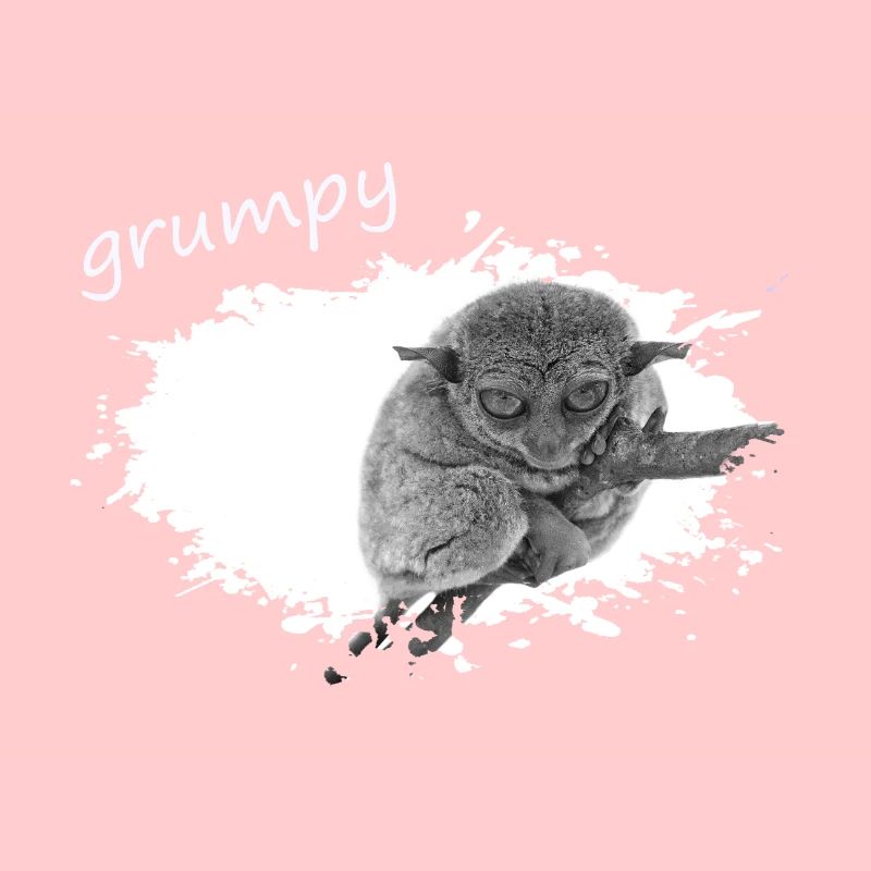 grumpy monkey Tarsier Maki