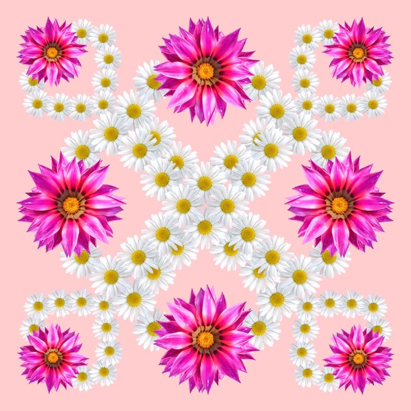 Gazanie Margerite Blüte Blumenmuster Gänseblümchen