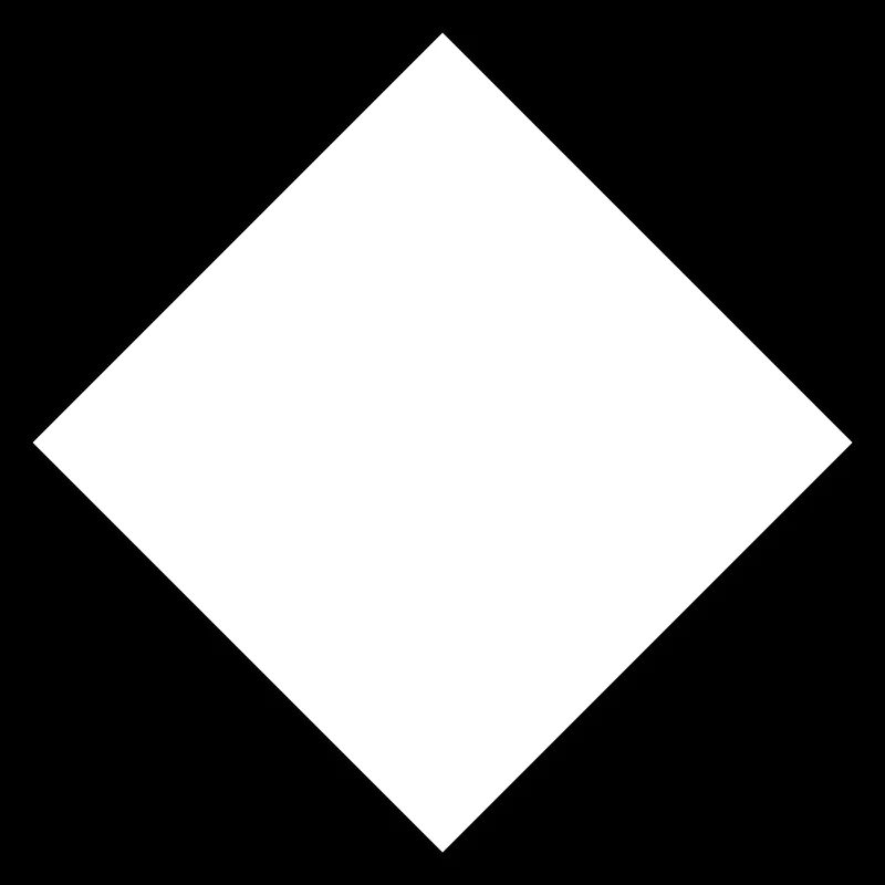 Raute