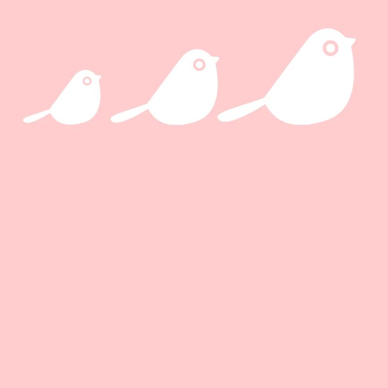 Des oiseaux