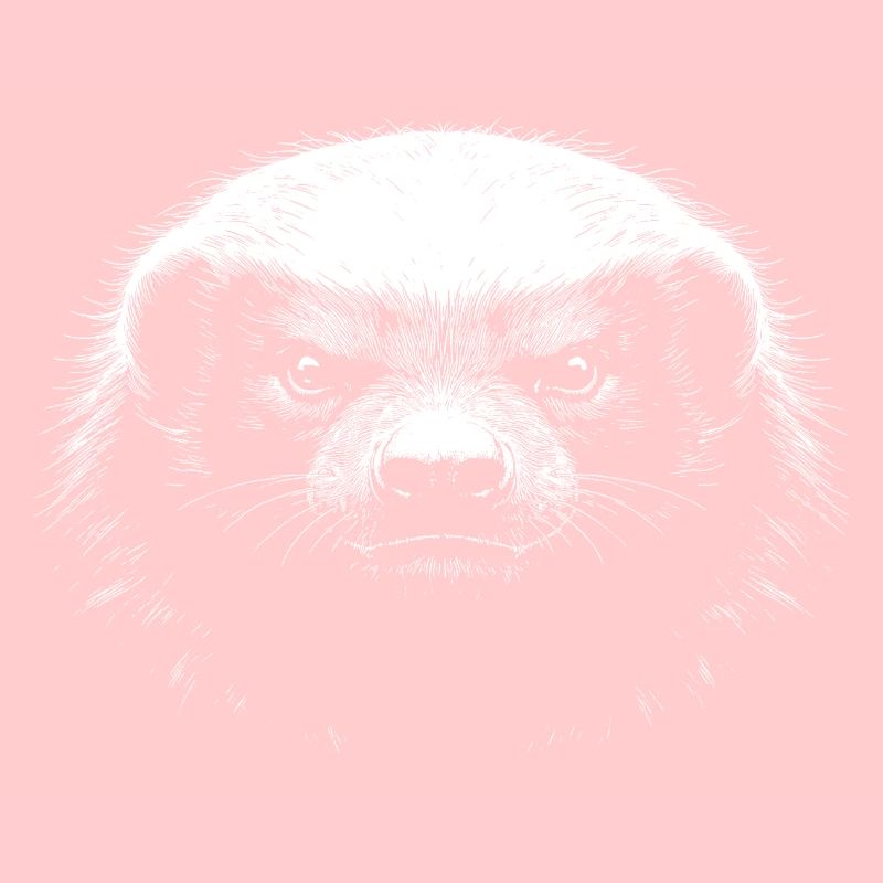 Honey badger