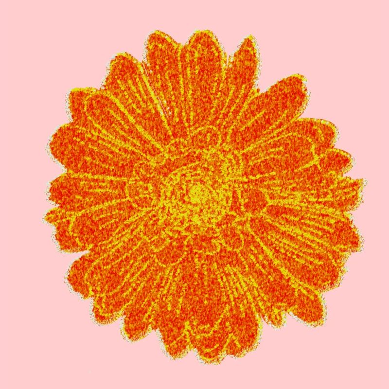 Bluete Impressionismus