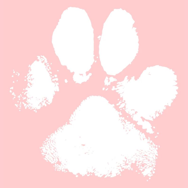 Chien Tate Empreinte de pattes
