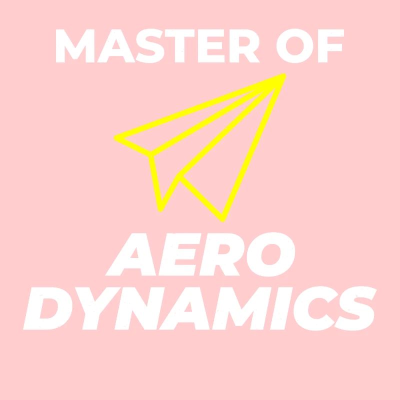 Aerospace Engineer Flight Mechanics Paper Plane