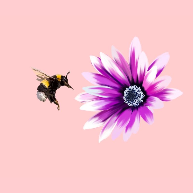 Bumblebee and flower