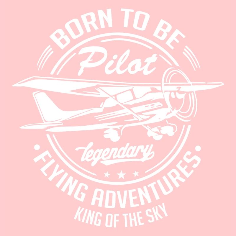 Pilot Plane Jet SKY