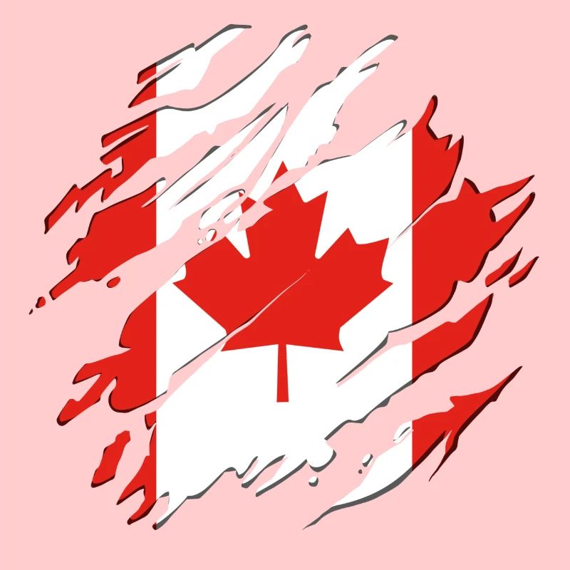 Drapeau canada feuille d'érable feuille d'érable fissures