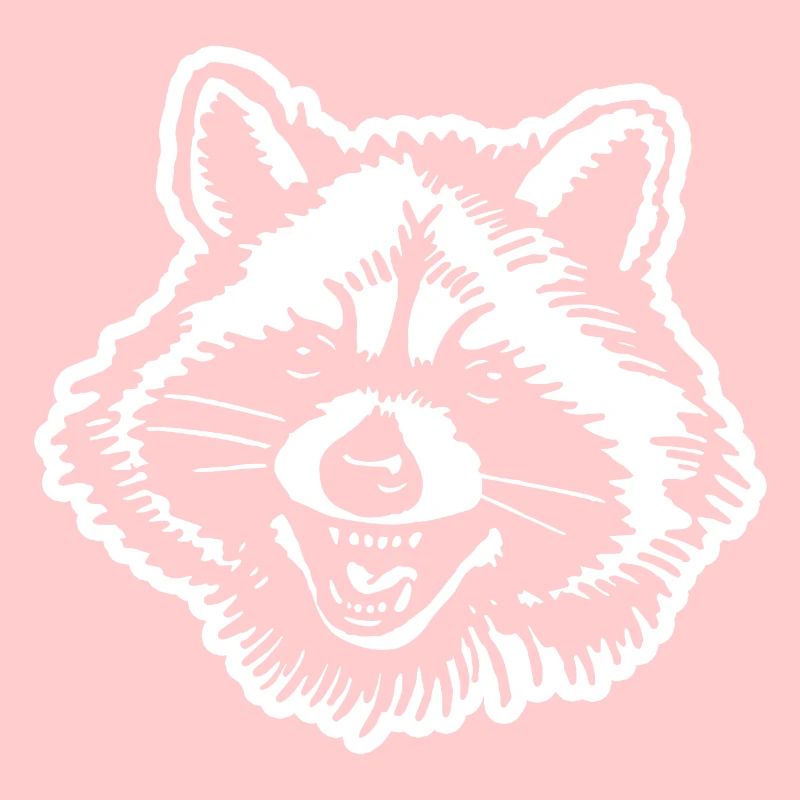 Raccoon