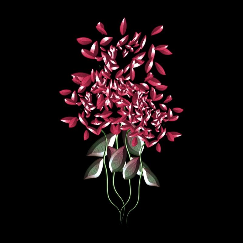 fleurs de rose rose fleur