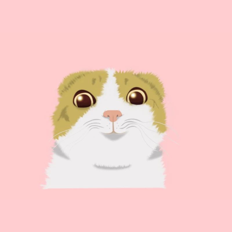smiling cat meme