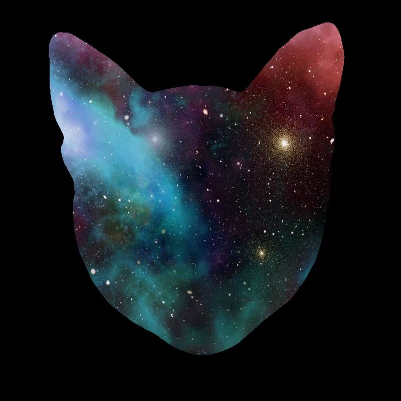 chat de l'espace cadeau de chat de l'espace