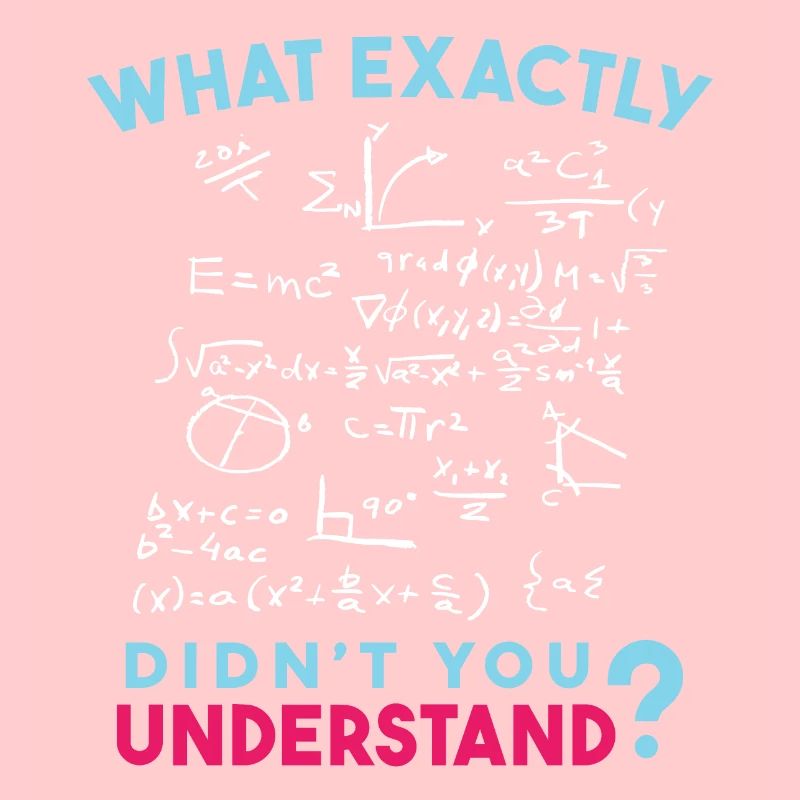 Physics Math Formula Joke