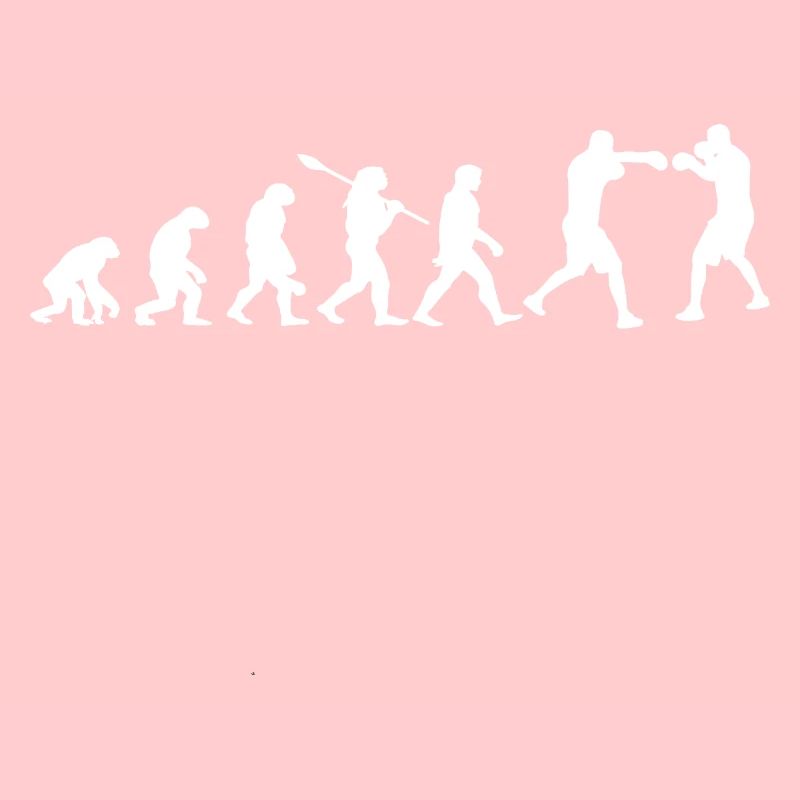 Évolution De La Boxe | Cadeau Boxeur