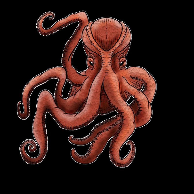Octopus
