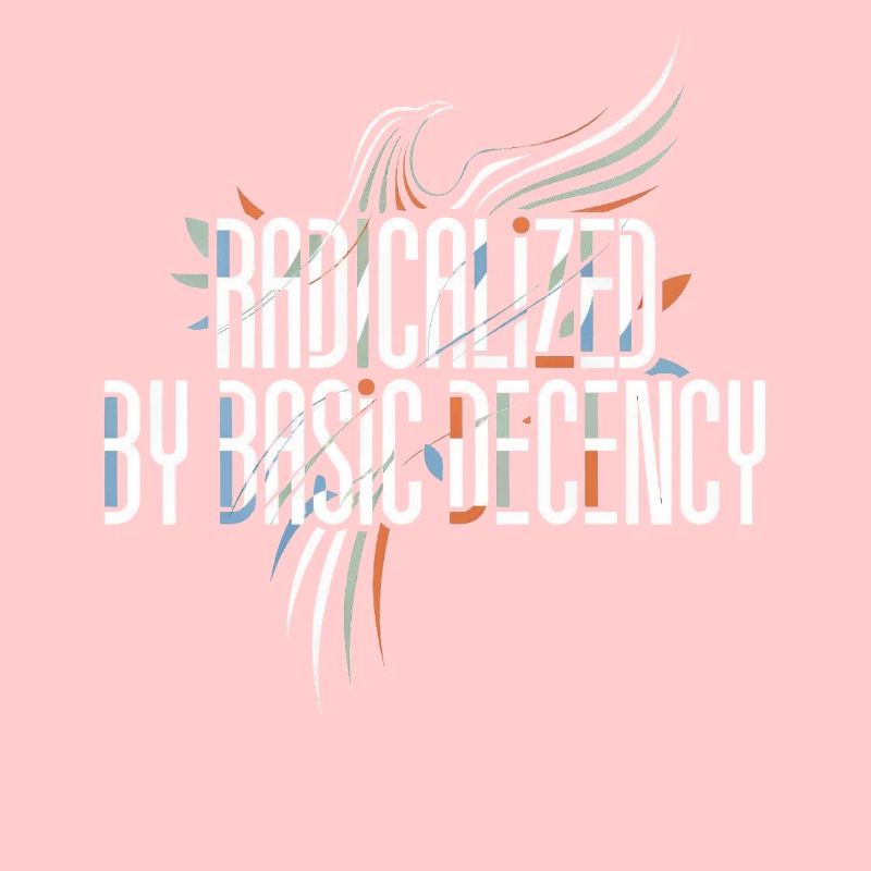 Radicalized by Basic Decency Shirt for Activists