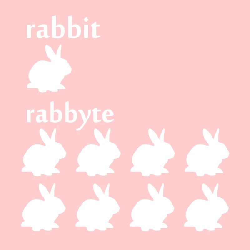 Programmer computer scientist byte rabbit gift