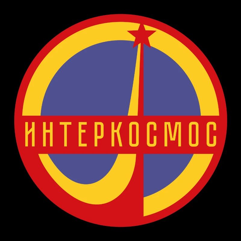 Interkosmos Sputnik Weltraum UdSSR Geschenk