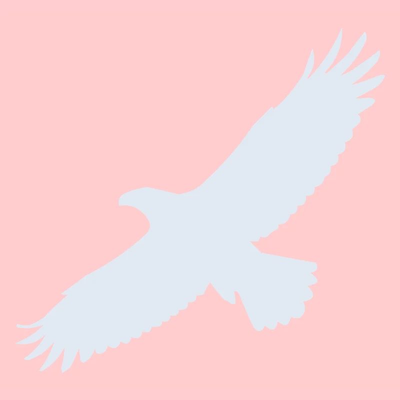 Aigle