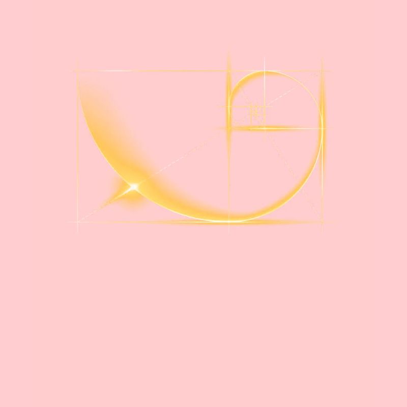 Fibonacci, section dorée